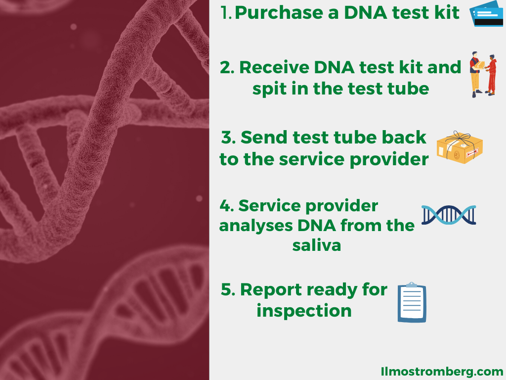 Genetic testing as a process