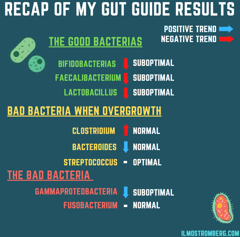 Recap of my gut guide results